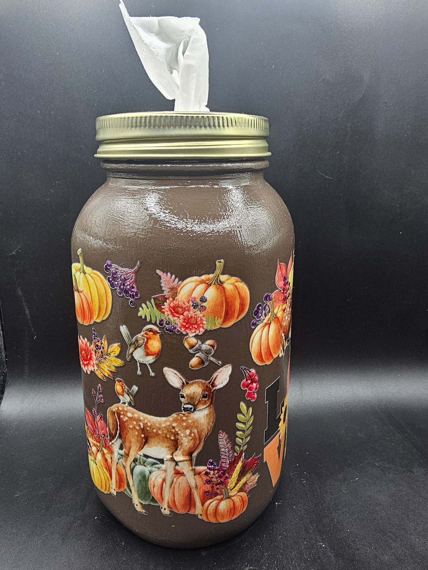Mason Kleenex Jar Deer